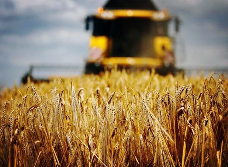 澳大麥豐收，銷路卻成了問題，印度有意接盤卻引來農(nóng)民不滿【潤康】磨煤機磨輥對此看法?
