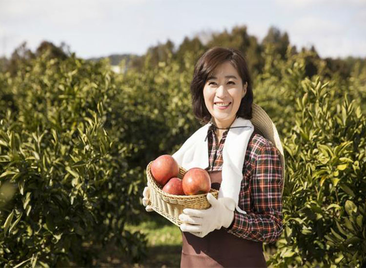 磨煤機磨輥 磨煤機磨輥